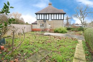 Photo 9- click for photo gallery